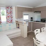 Haliotis 3*