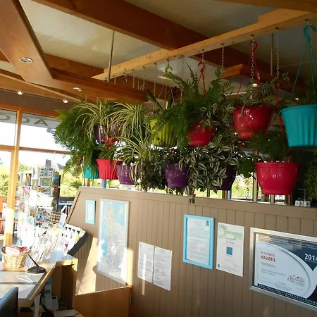 Haliotis Кемпинг