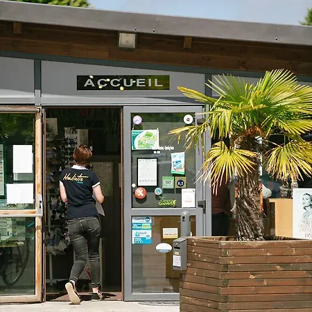 Campingplads Haliotis