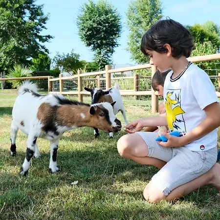 Кемпинг Haliotis Понторсон