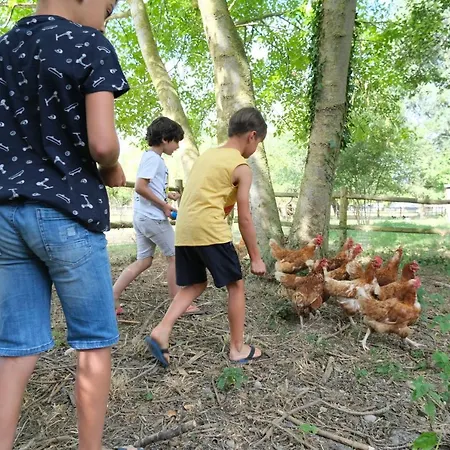 Haliotis Campingplads