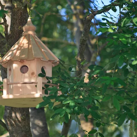 Кемпинг Haliotis