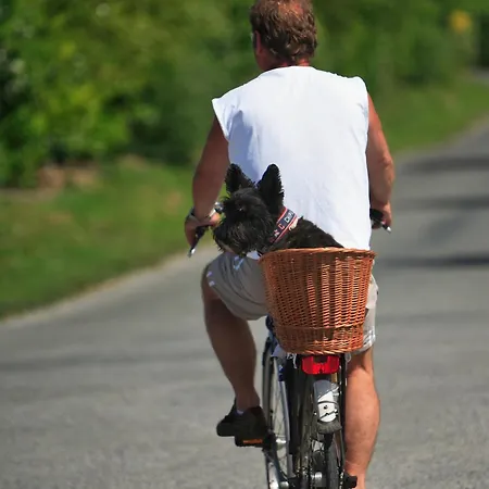 Campingplads Haliotis Pontorson