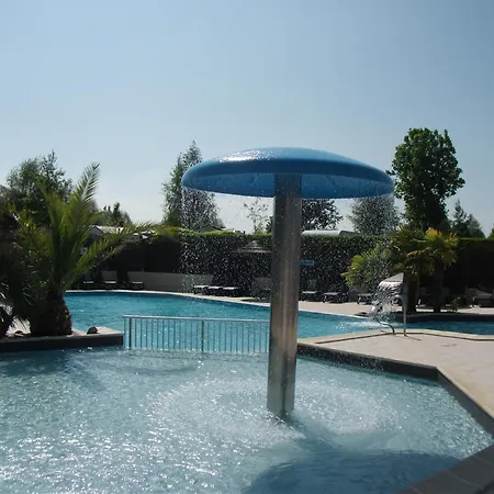 Haliotis Понторсон