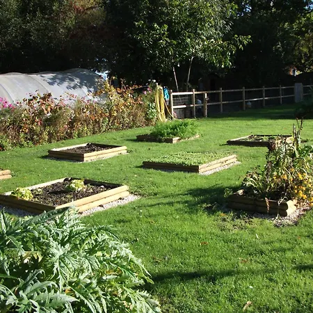 Haliotis Parque de Campismo