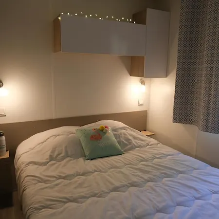 Haliotis Понторсон