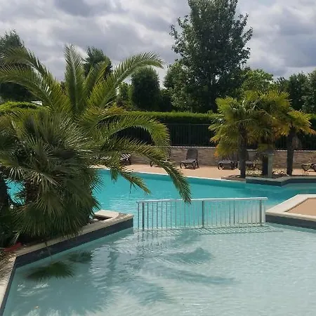 Haliotis Понторсон