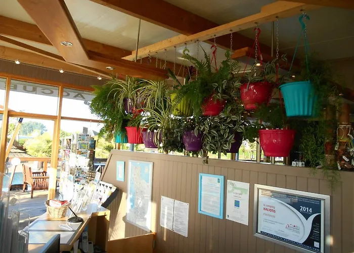 Haliotis Parque de Campismo