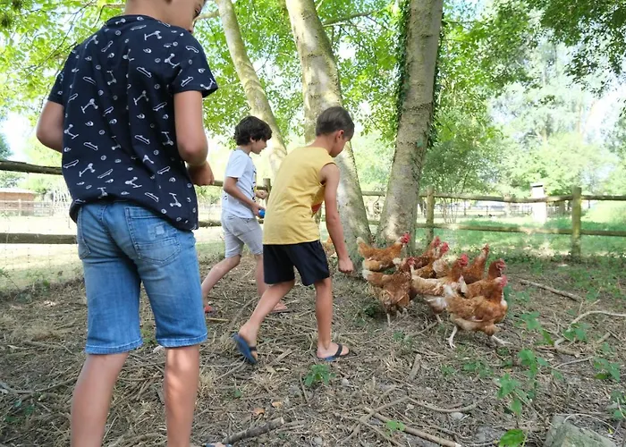 Haliotis Parque de Campismo