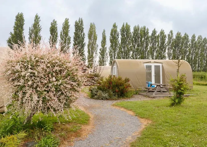 Haliotis Parque de Campismo