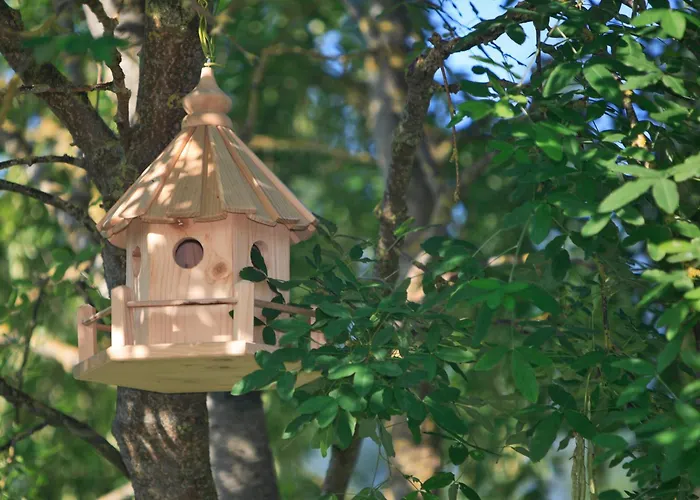 Parque de Campismo Haliotis