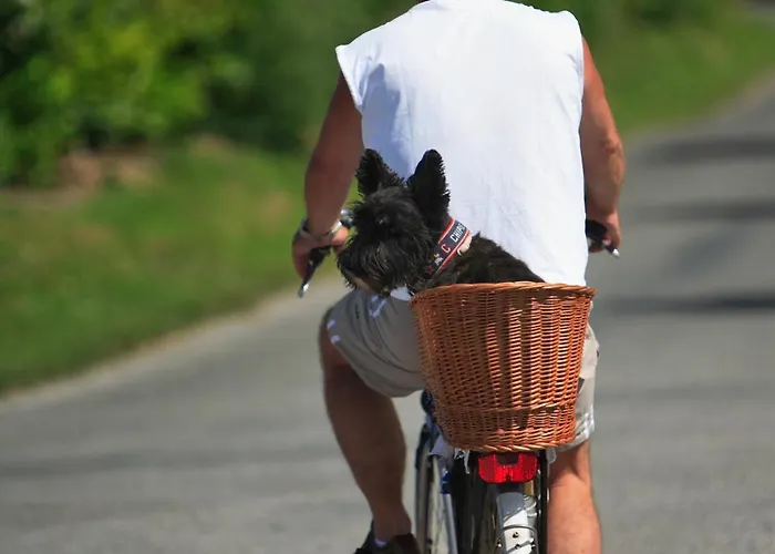 Parque de Campismo Haliotis Pontorson