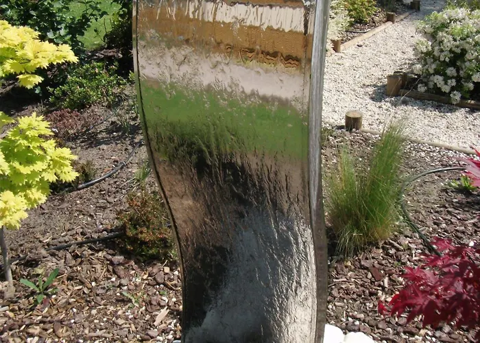 Haliotis 3* Pontorson