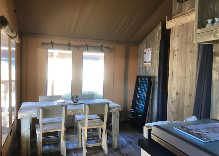 Haliotis 3* Pontorson