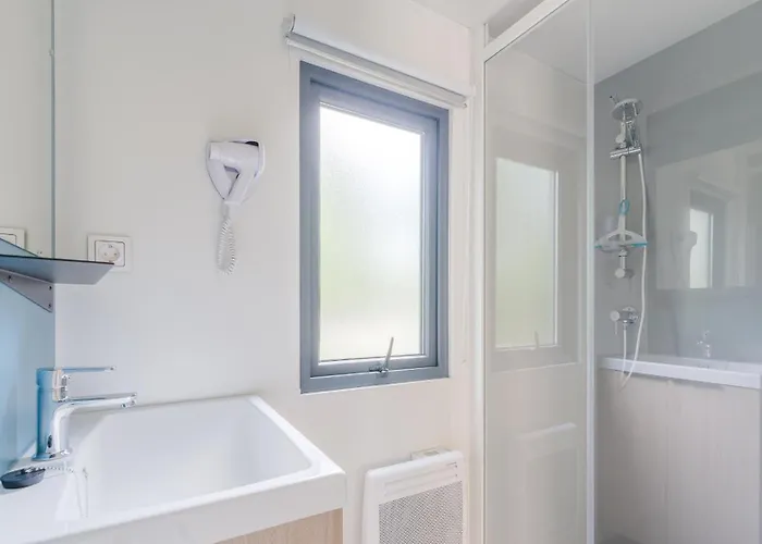 Haliotis 3* Pontorson